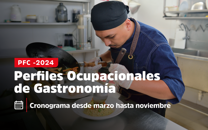 Programación PFC 2024 -2 Gastronomía